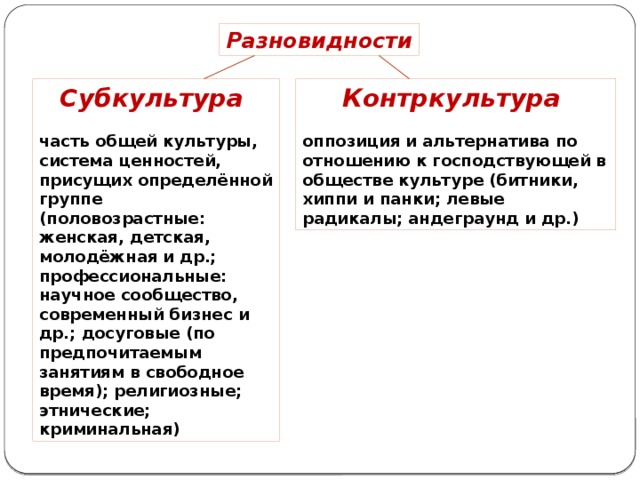 Виды культуры контркультура