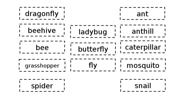 dragonfly ant beehive anthill ladybug caterpillar bee butterfly fly mosquito grasshopper snail spider 