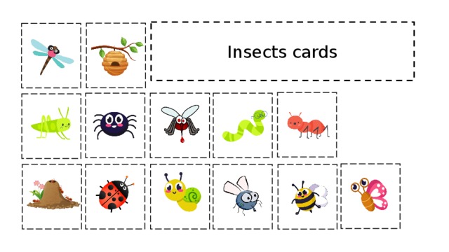 Insects cards 