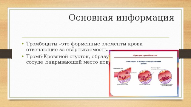 Основная информация Тромбоциты –это форменные элементы крови отвечающие за свёртываемость. Тромб-Кровяной сгусток, образующийся в кровеносном сосуде ,закрывающий место повреждения 