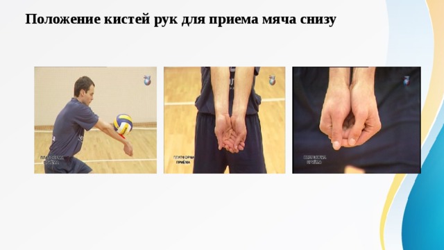 Положение кистей рук для приема мяча снизу 