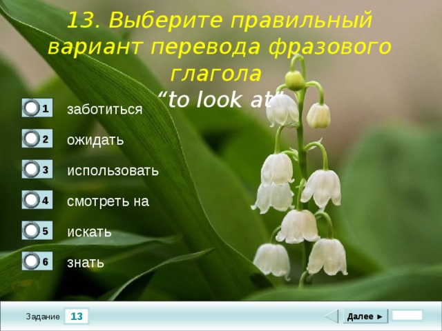      1 3. Выберите правильный вариант перевода фразового глагола “ to look at”    заботиться 1 0 ожидать 2 0 использовать  3 0 смотреть на 4 1 искать 5 0 знать 6 0 13 Далее ► Задание 