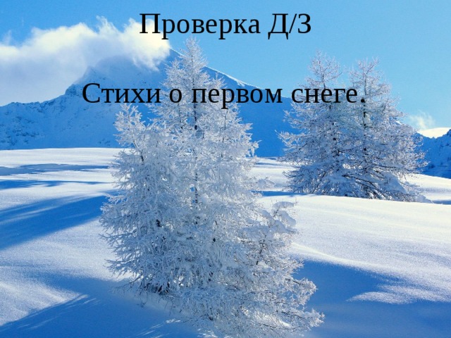 Проверка Д/З Стихи о первом снеге. 