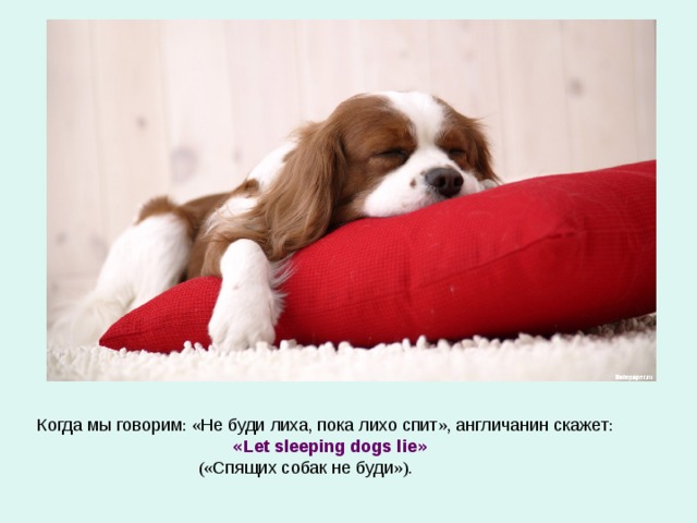 Картинка не буди