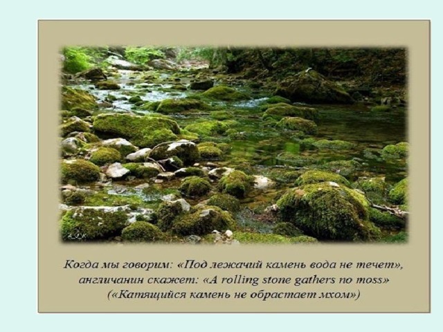 Под лежачий камень вода не течет картинка