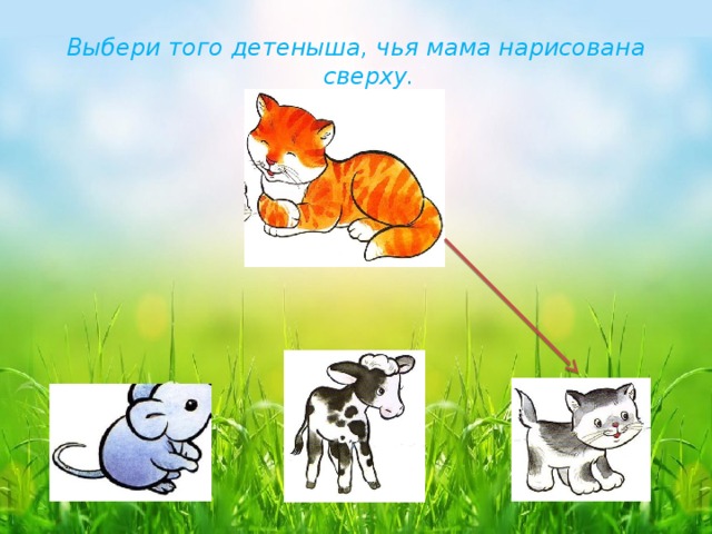 Выбери того детеныша, чья мама нарисована сверху. 