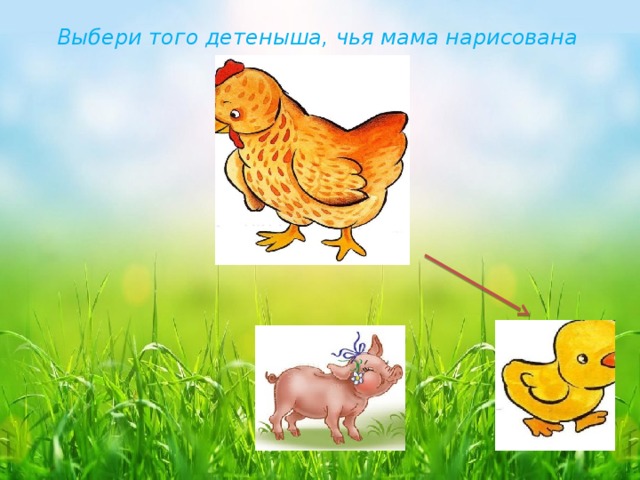 Выбери того детеныша, чья мама нарисована сверху. 
