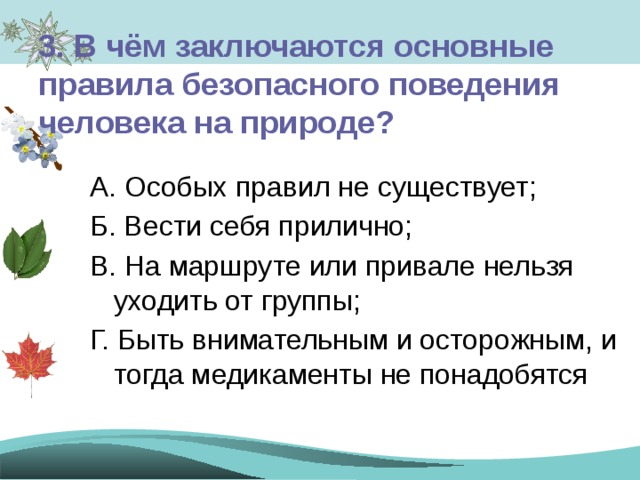 Что необходимо сделать руководителю похода после разработки маршрута