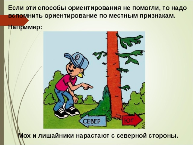 Если эти способы ориентирования не помогли, то надо вспомнить ориентирование по местным признакам. Например: Мох и лишайники нарастают с северной стороны. 