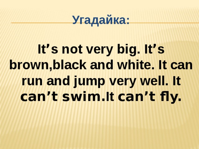 Угадайка: It ’ s not very big. It ’ s brown,black and white. It can run and jump very well. It can’t swim. It can’t fly. 