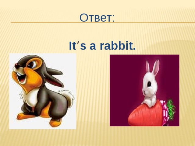 Ответ: It ’ s a rabbit. 