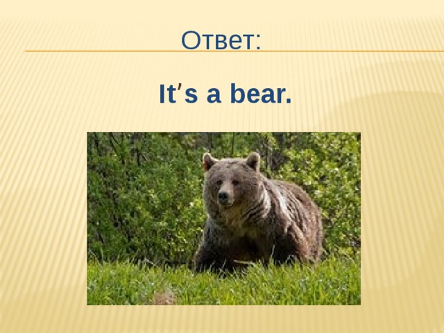 Ответ: It ’ s a bear. 