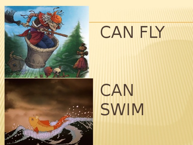 can fly can swim 