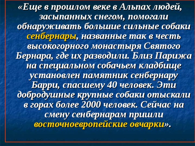 «Еще в прошлом веке в Альпах людей, засыпанных снегом, помогали обнаруживать большие сильные собаки сенбернары , названные так в честь высокогорного монастыря Святого Бернара, где их разводили. Близ Парижа на специальном собачьем кладбище установлен памятник сенбернару Барри, спасшему 40 человек. Эти добродушные крупные собаки отыскали в горах более 2000 человек. Сейчас на смену сенбернарам пришли восточноевропейские овчарки ».      