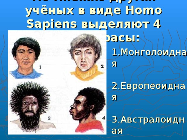 По мнению других учёных  в виде Homo Sapiens выделяют 4 больше расы: 1.Монголоидная 2.Европеоидная 3.Австралоидная 4.Негроидная 