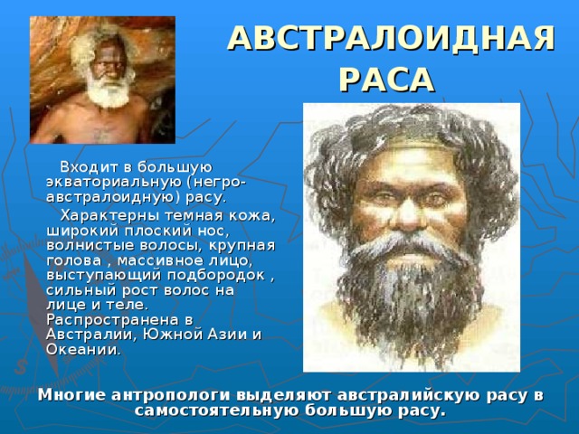 АВСТРАЛОИДНАЯ РАСА   Входит в большую экваториальную (негро-австралоидную) расу.  Характерны темная кожа, широкий плоский нос, волнистые волосы, крупная голова , массивное лицо, выступающий подбородок , сильный рост волос на лице и теле. Распространена в Австралии, Южной Азии и Океании. Многие антропологи выделяют австралийскую расу в самостоятельную большую расу. 