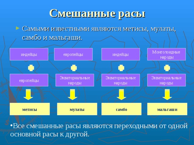 Смешанные расы Самыми известными являются метисы, мулаты, самбо и мальгаши. индейцы европейцы Монголоидные  народы индейцы Экваториальные народы Экваториальные народы Экваториальные народы европейцы мальгаши мулаты метисы самбо Все смешанные расы являются переходными от одной основной расы к другой.  