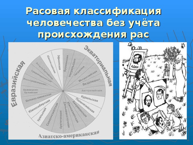 Расовая классификация человечества без учёта происхождения рас 