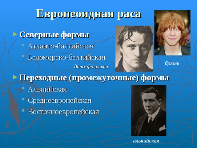 Европеоидная раса Северные формы Атланто-балтийская Беломорско-балтийская Атланто-балтийская Беломорско-балтийская   дало-фальская    дало-фальская  Переходные (промежуточные) формы  Альпийская Среднеевропейская Восточноевропейская Альпийская Среднеевропейская Восточноевропейская брюнн альпийская  