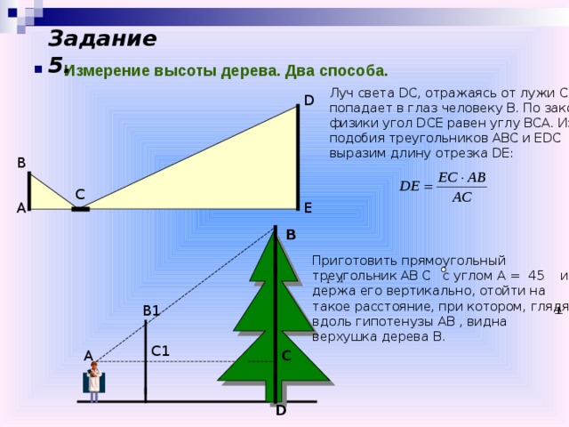Задание 5.  Измерение высоты дерева. Два способа.  Луч света DC , отражаясь от лужи С, попадает в глаз человеку В. По законам физики угол DCE равен углу ВСА. Из подобия треугольников АВС и Е D С выразим длину отрезка D Е: D В С А Е В Приготовить прямоугольный треугольник АВ С с углом А = 45 и, держа его вертикально, отойти на такое расстояние, при котором, глядя вдоль гипотенузы АВ , видна верхушка дерева В. В 1 С1 А С D 