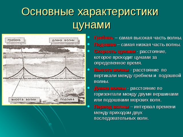 Основные характеристики цунами Гребень – самая высокая часть волны. Подошва  – самая низкая часть волны. Скорость цунами - расстояние, которое проходит цунами за определенное время. Высота волны  - расстояние по вертикали между гребнем и подошвой волны. Длина волны - расстояние по горизонтали между двумя вершинами или подошвами морских волн. Период волны  – интервал времени между приходом двух последовательных волн. 