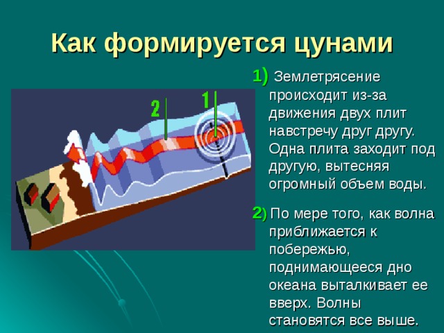 Как формируется цунами 1 )  Землетрясение происходит из-за движения двух плит навстречу друг другу. Одна плита заходит под другую, вытесняя огромный объем воды. 2 )  По мере того, как волна приближается к побережью, поднимающееся дно океана выталкивает ее вверх. Волны становятся все выше. 