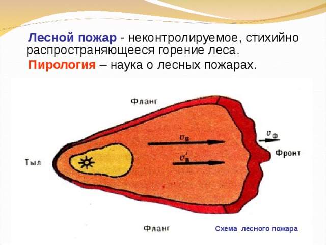 Развитие лесного пожара. Лесные пожары схема. План схема лесного пожара. Схема места лесного пожара. Лесная пирология.