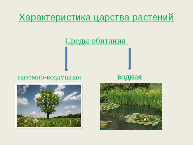 Технологическая карта урока по биологии 5 класс среды обитания организмов