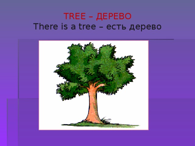 TREE – ДЕРЕВО There is a tree – есть дерево 
