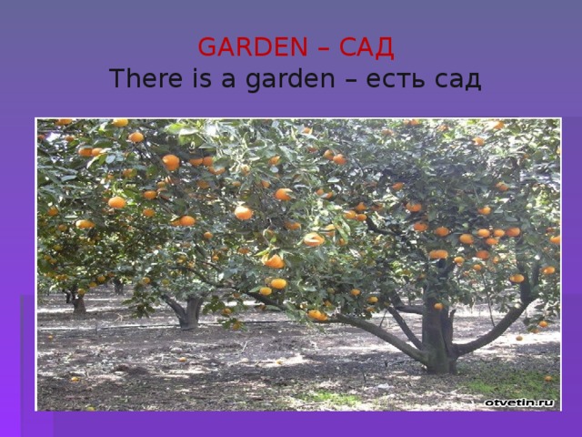 GARDEN – САД  There is a garden – есть сад 