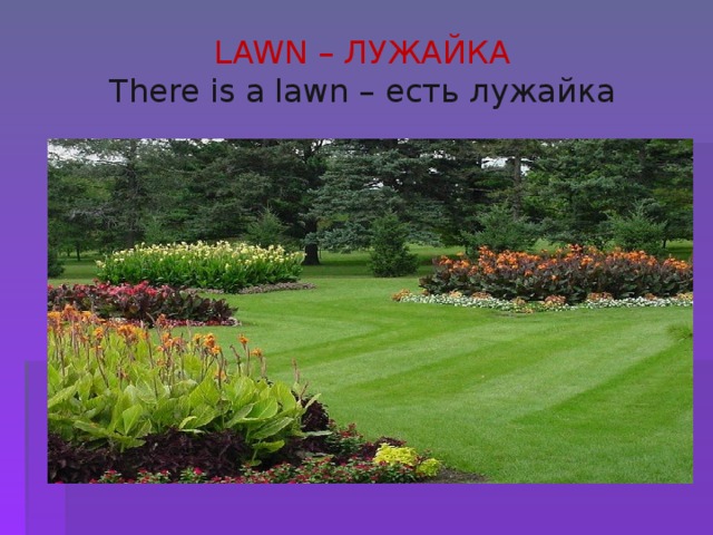  LAWN – ЛУЖАЙКА  There is a lawn – есть лужайка   