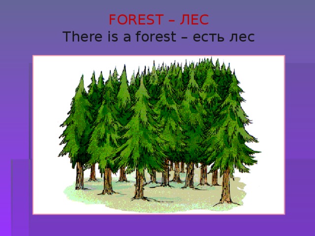 FOREST – ЛЕС There is a forest – есть лес 