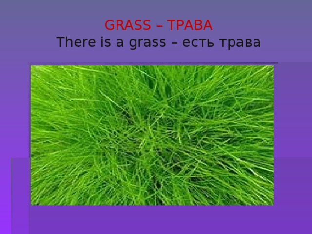 GRASS – ТРАВА  There is a grass – есть трава 
