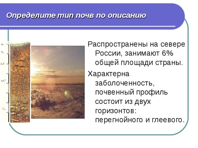 Определите тип почв по описанию Распространены на севере России, занимают 6% общей площади страны. Характерна заболоченность, почвенный профиль состоит из двух горизонтов: перегнойного и глеевого. 