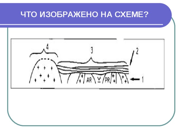 ЧТО ИЗОБРАЖЕНО НА СХЕМЕ? 