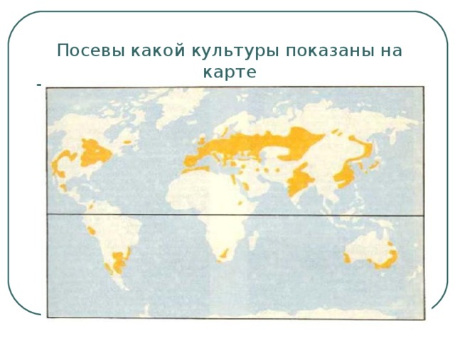 Посевы какой культуры показаны на карте 
