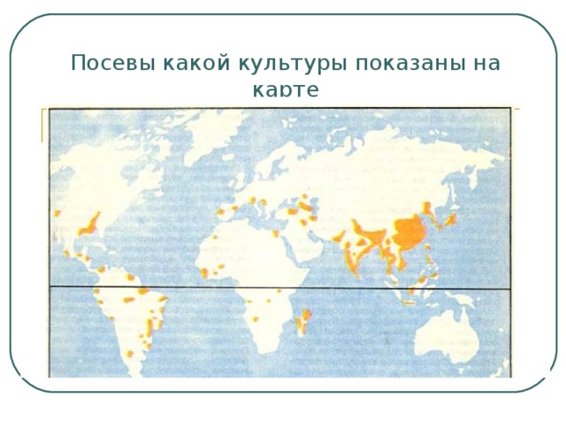 Посевы какой культуры показаны на карте 