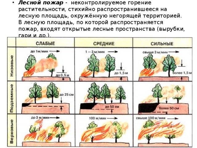 Лесной пожар - неконтролируемое горение растительности, стихийно распространившееся на лесную площадь, окружённую негорящей территорией. В лесную площадь, по которой распространяется пожар, входят открытые лесные пространства (вырубки, гари и др.). 