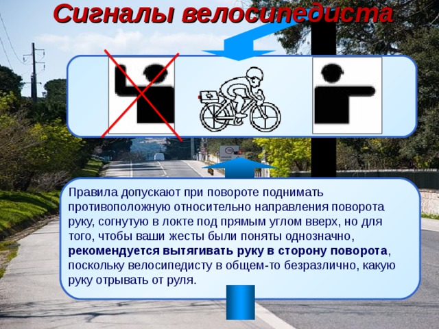 Безопасное поведение на дорогах велосипедистов и водителей мопедов обж 8 класс
