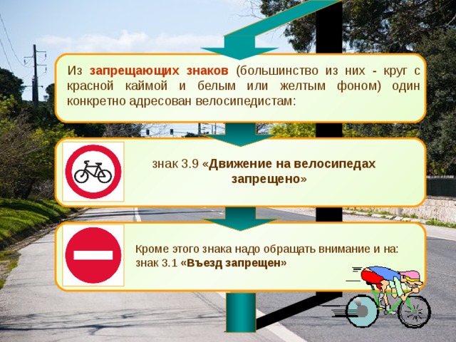 Безопасное поведение на дорогах велосипедистов и водителей мопедов обж 8 класс