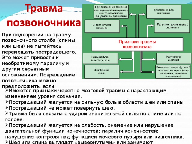 Травмы головы позвоночника и спины обж 9 класс презентация