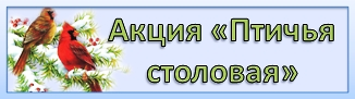 Картинка птичья столовая в детском саду