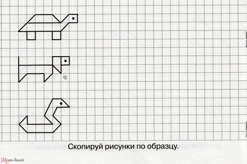 Рисунки по образцу. Рисунки по клеточкам по образцу. Графические задания для подготовительной группы. Упражнения по клеточкам для детей 6-7 лет.