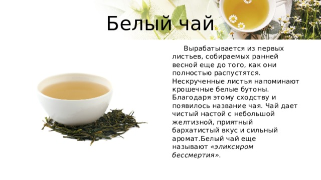 Белый чай  Вырабатывается из первых листьев, собираемых ранней весной еще до того, как они полностью распустятся. Нескрученные листья напоминают крошечные белые бутоны. Благодаря этому сходству и появилось название чая. Чай дает чистый настой с небольшой желтизной, приятный бархатистый вкус и сильный аромат.Белый чай еще называют  «эликсиром бессмертия» . 