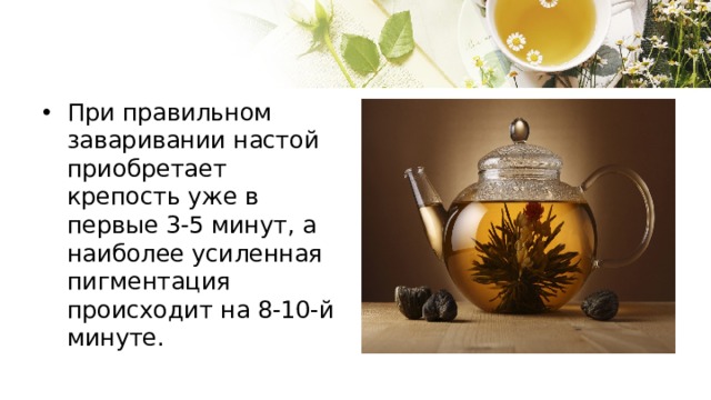 При правильном заваривании настой приобретает крепость уже в первые 3-5 минут, а наиболее усиленная пигментация происходит на 8-10-й минуте. 