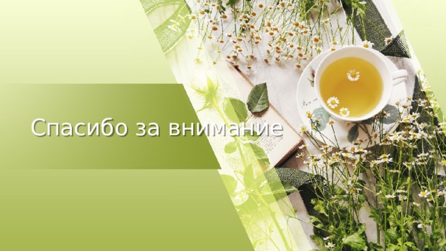 Спасибо за внимание 