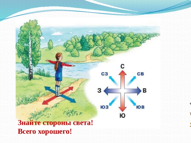 На все четыре стороны картинка