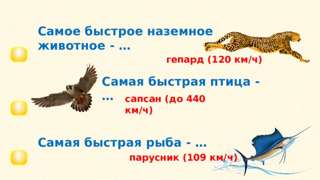 Самое быстрое наземное животное - … гепард (120 км/ч) Самая быстрая птица - … сапсан (до 440 км/ч) Самая быстрая рыба - … парусник (109 км/ч) 