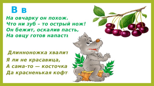  В в  На овчарку он похож.  Что ни зуб – то острый нож!  Он бежит, оскалив пасть,  На овцу готов напасть…   Длинноножка хвалится —  Я ли не красавица,  А сама-то — косточка  Да красненькая кофточка.  
