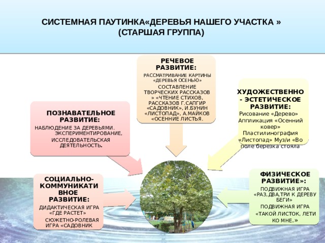 Паутинка к проекту